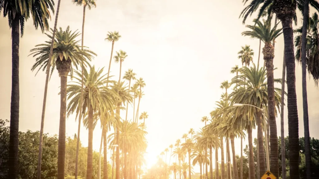 Untitled design 94 1